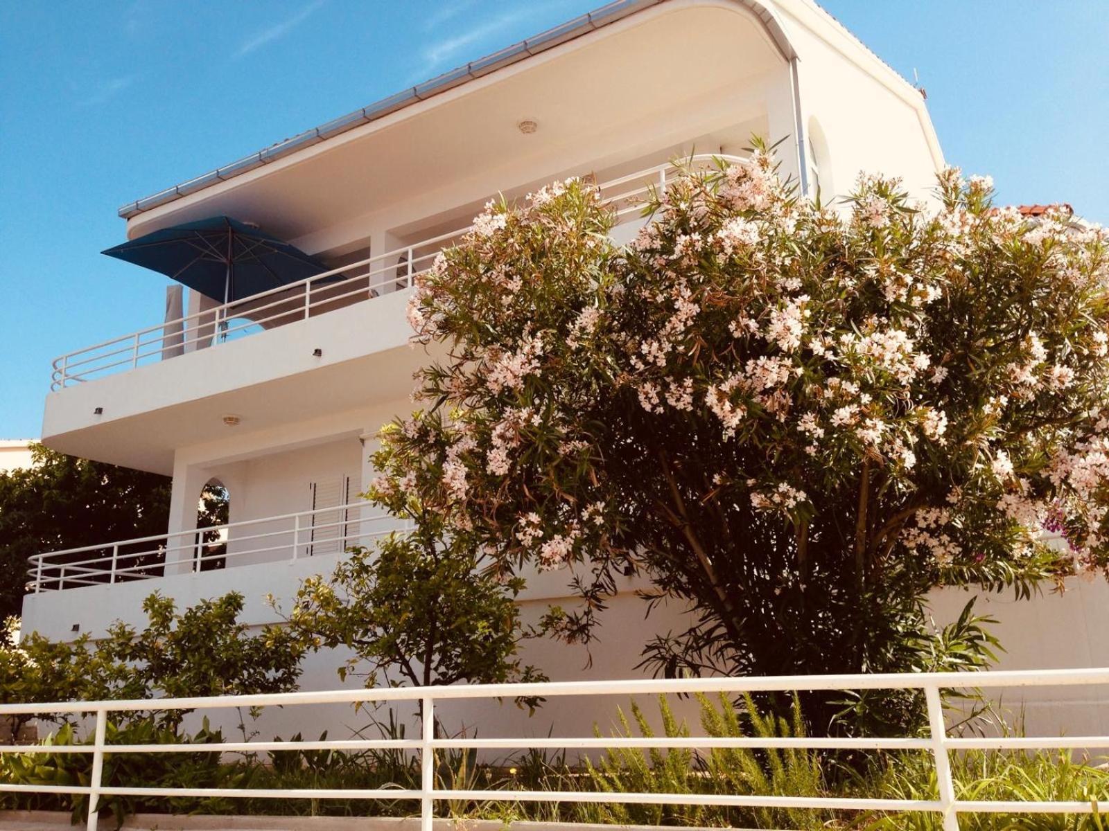 House Agradable Apartment Seget Vranjica Exterior photo